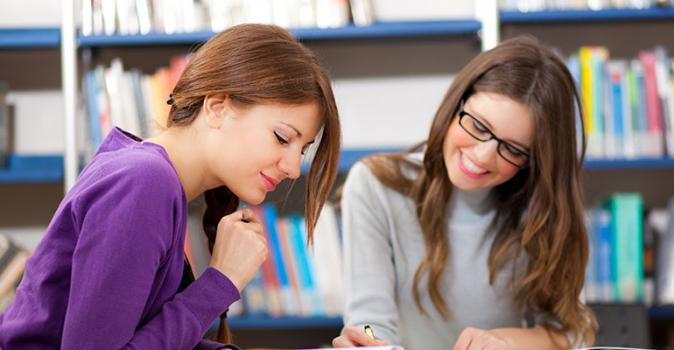 Special Offer courses in institutes of New Zealand